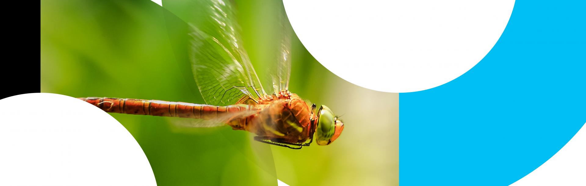 הנדסה מכנית