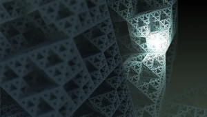 Hierarchical Design Principles for Multifunctional Biocomposites - Dr. Israel Kellersztein