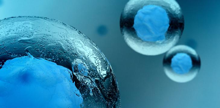 הנדסה ביו-רפואית באוניברסיטת תל אביב בעקבות המכשירים שעוד לא פיתחנו 