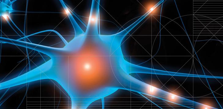 ביומכניקה שבונה רקמות מהונדסות.