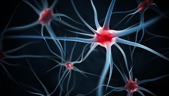 בדיקות מעבדה בעזרת רשת נוירונים ללימוד עמוק בפחות זמן וכסף 