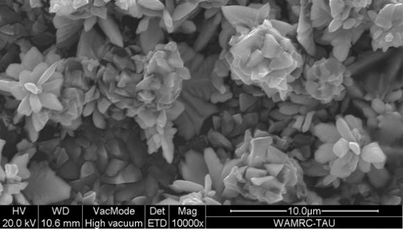 גבישי נחושת במיקרוסקופ אלקטרונים סורק (ד"ר זהבה ברקאי, מרכז וולפסון לחקר חומרים)