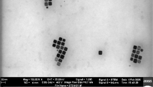 ננו-קוביות מגנטיות נצפות במיקרוסקופ אלקטרונים סורק (פרופ' גיל מרקוביץ)