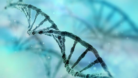 סמינר המחלקה להנדסה ביו רפואית 