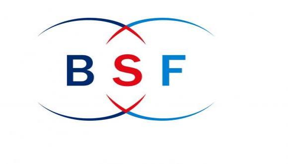  BSF-NSF