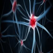 בדיקות מעבדה בעזרת רשת נוירונים ללימוד עמוק בפחות זמן וכסף 