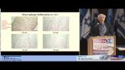 Tissue Engineering: Biology - Scaffolds - Materials Science